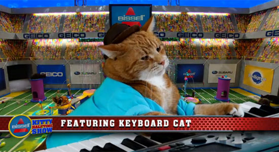 Keyboard Cat considers seppuku